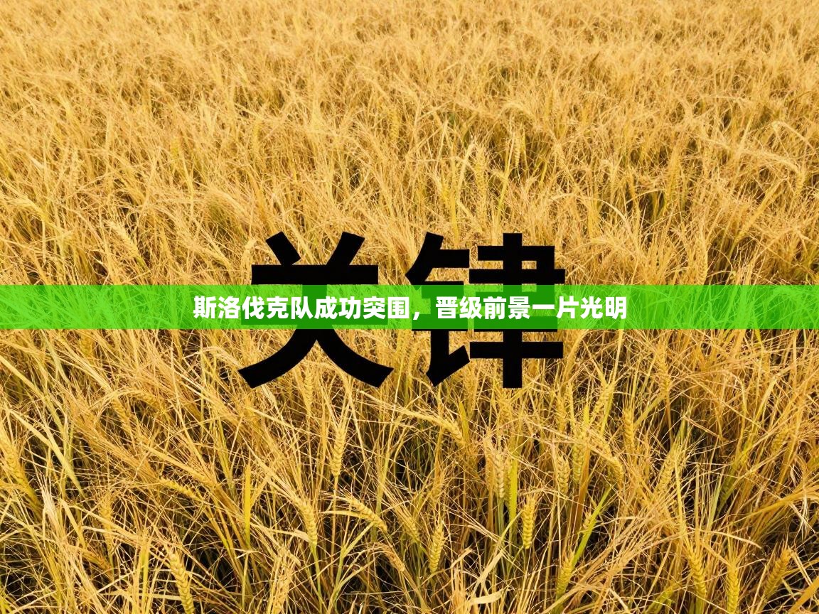 斯洛伐克队成功突围，晋级前景一片光明  第2张