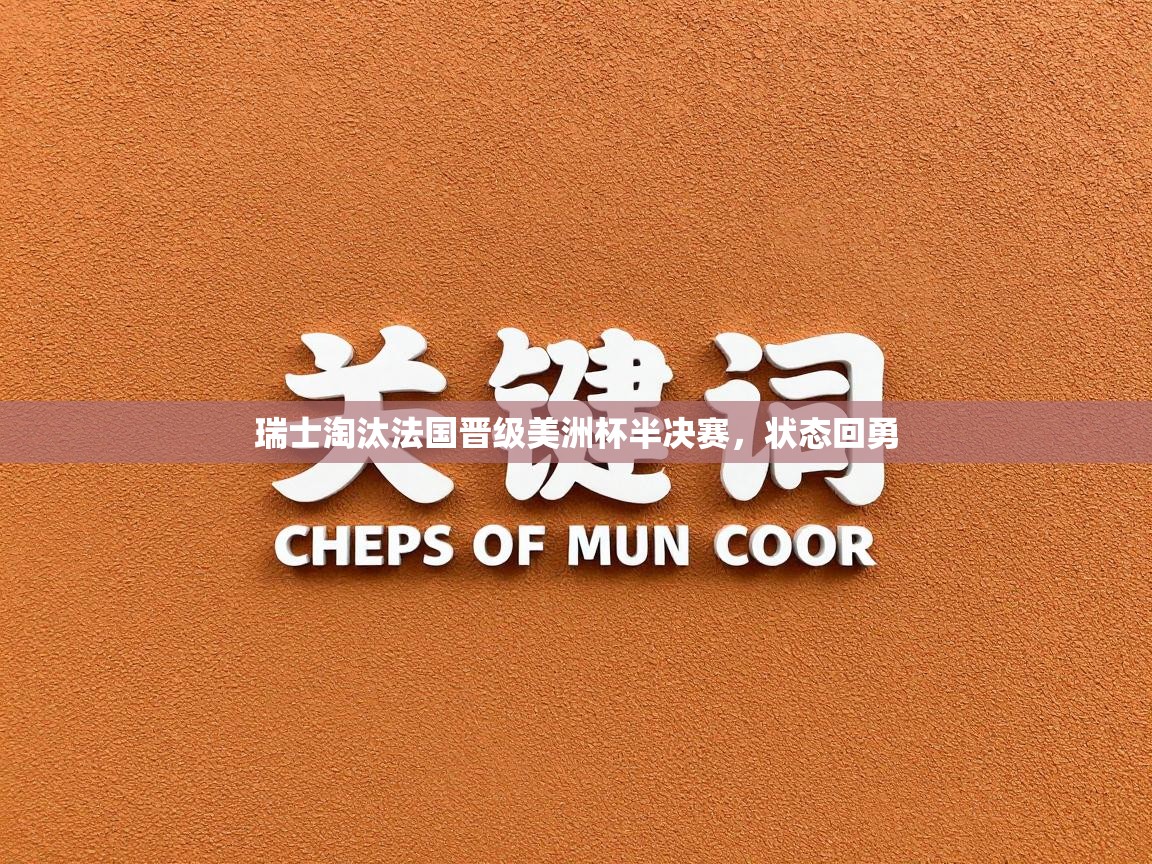 瑞士淘汰法国晋级美洲杯半决赛，状态回勇  第2张