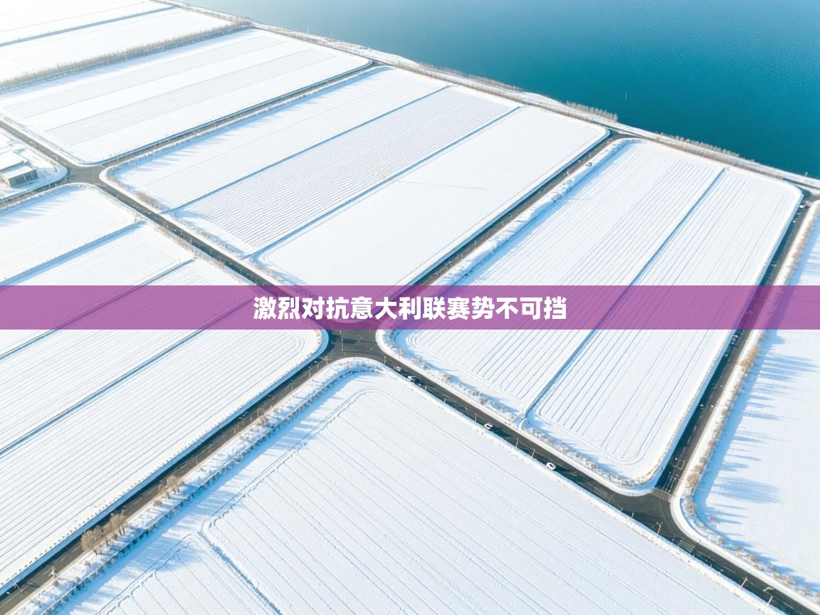 激烈对抗意大利联赛势不可挡 第2张