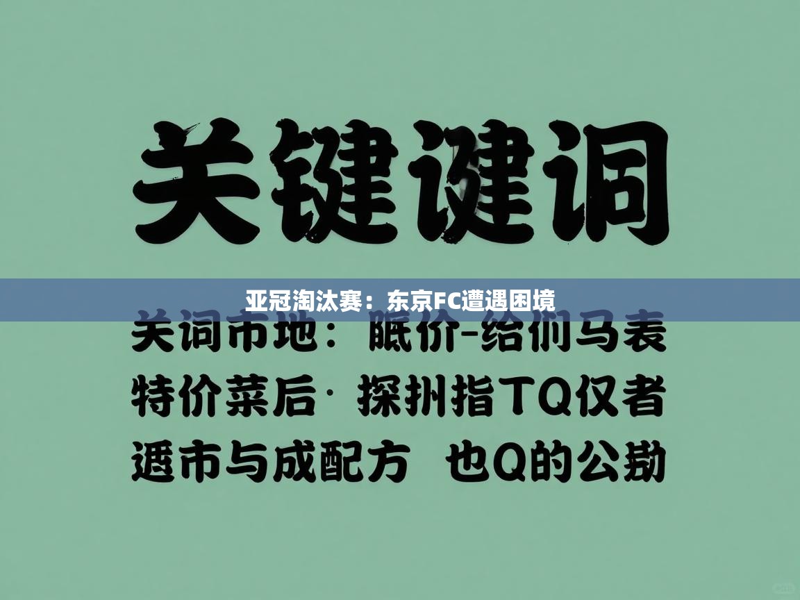 亚冠淘汰赛：东京FC遭遇困境  第2张